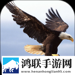 x9x9x9x9任意槽2024收藏版