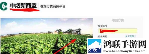 农村老太太rapper最火的歌免安装版下载,农村老太太rapper最火的歌完整版删减片段全恢复下载