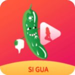 轮轩番外篇txt小说低耗版