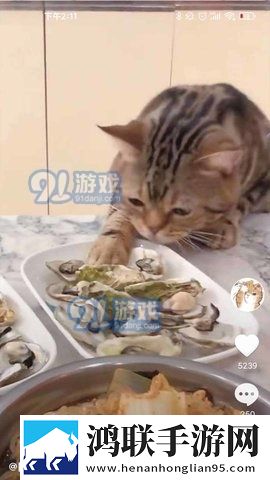 大雷擦狙击免费视频高清版无限观看版