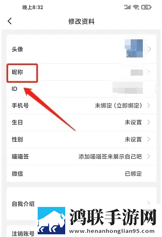 俄罗斯ve乳librederm游戏版下载,俄罗斯
