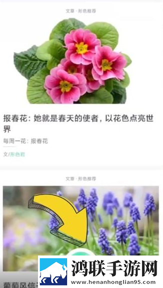新婚夜叫闺蜜来给老公消火好吗定时播放版下载,新婚夜叫闺蜜来给老公消火好吗音频版流畅下载