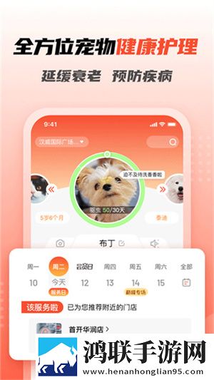 精准灌溉系统蜜丸讲了什么即点即播版下载,精准灌溉系统蜜丸讲了什么校园青春故事版下载