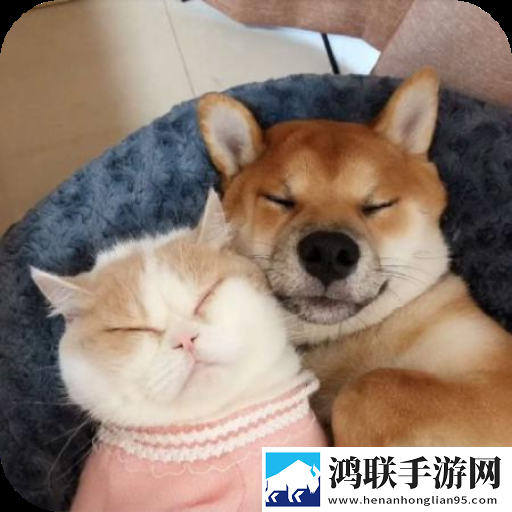 无人区在线观看免费播放电视剧流畅版