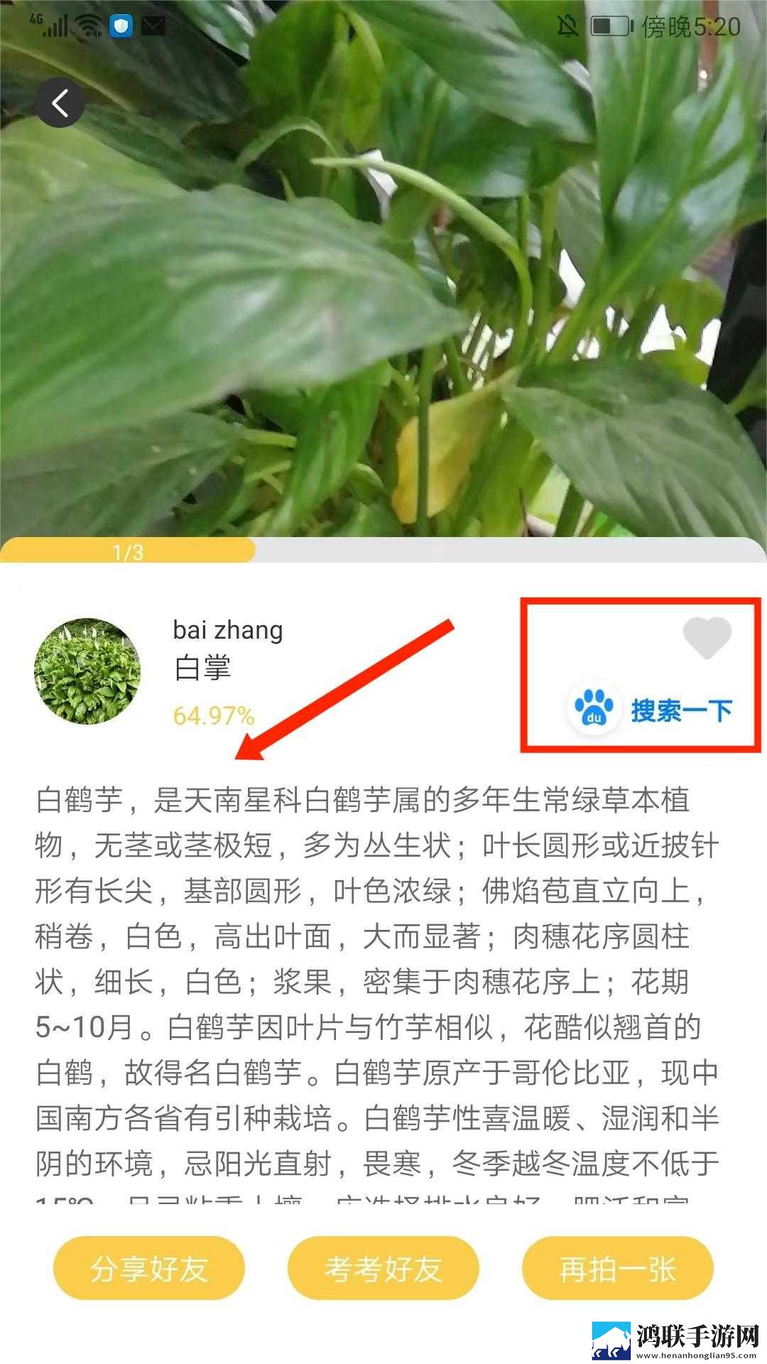 少女动漫在线高清免费观看稳定版下载,少女动漫在线高清免费观看学校教学专用版下载
