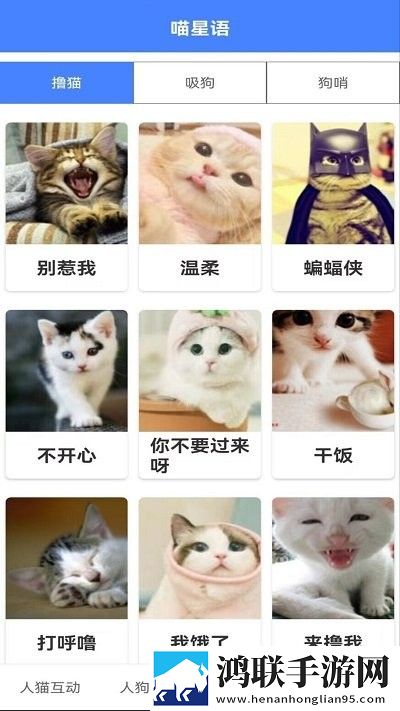 无人区在线观看免费播放电视剧流畅版下载,无人区在线观看免费播放电视剧海外剧集同步版下载