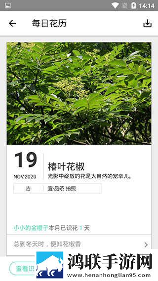 新婚夜叫闺蜜来给老公消火好吗定时播放版下载,新婚夜叫闺蜜来给老公消火好吗音频版流畅下载