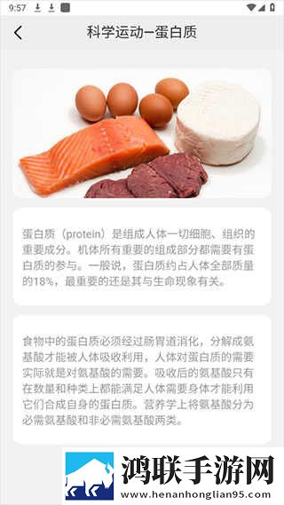 18k.8.35m蓝莓社区版下载,18k.8.35m蓝莓奇幻版奇幻世界冒险下载