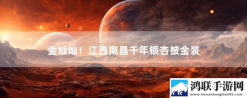 金灿灿！江西南昌千年银杏披金装