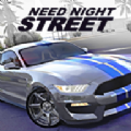极品地下夜街(Need Night Street)