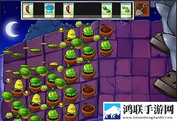 植物大战僵尸95版