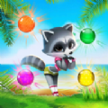 Raccoon Sal