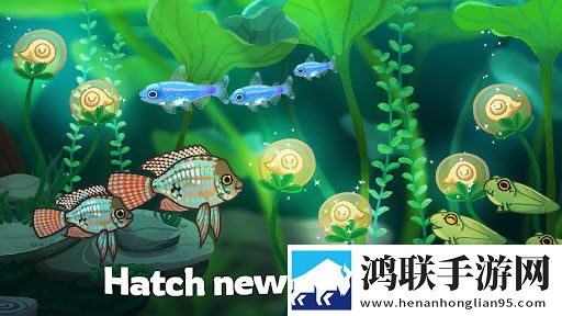池趣游戏(Pondlife)
