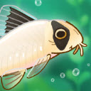 池趣游戏（Pondlife）