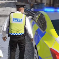 边防警察西姆(Border Police Patrol Duty Sim)