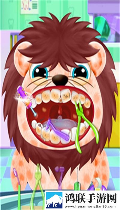 动物牙医护理(Pet Dentist Doctor Care)
