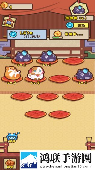 养猫计划