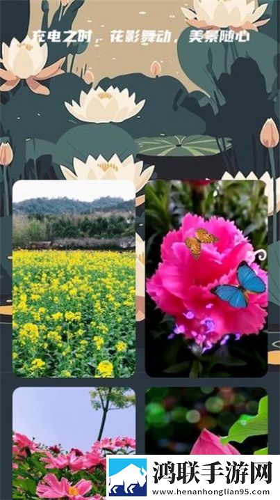 花影充电安卓版