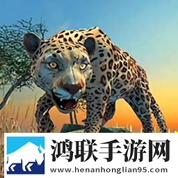 森林动物
