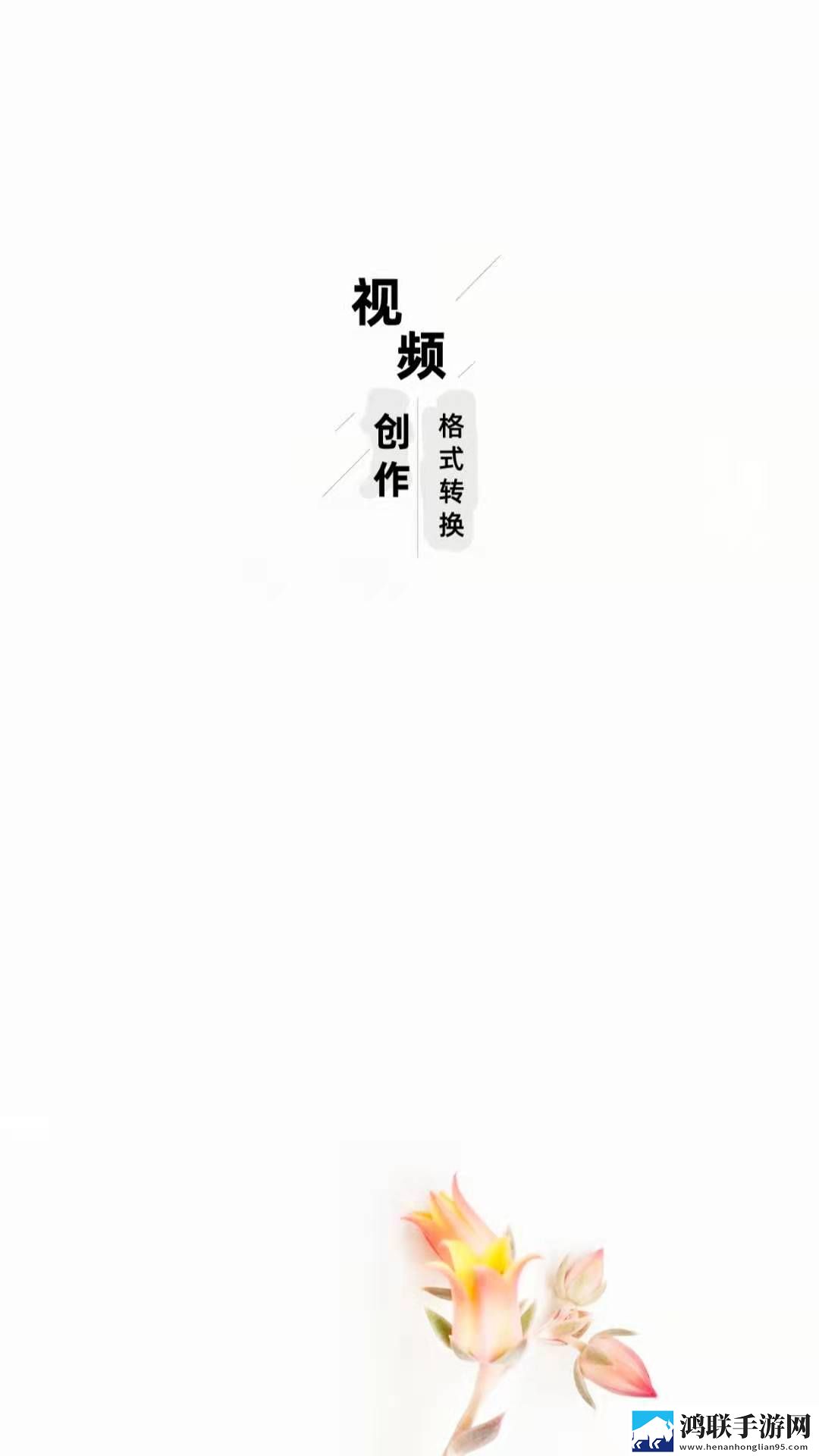 智点音视频格式转换最新版