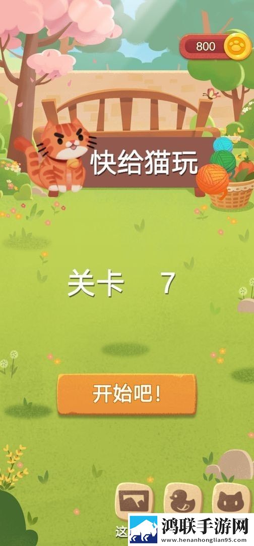 快给猫玩