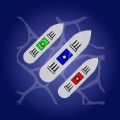 超级大海战(Battleship)