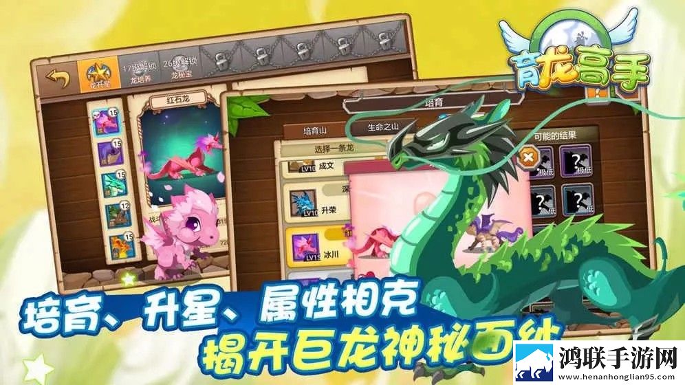 育龙高手