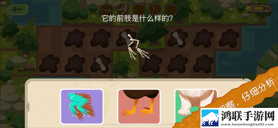 恐龙考古队安卓版