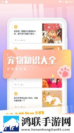 和猫对话