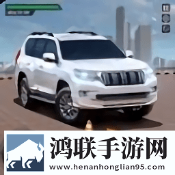 停车大师