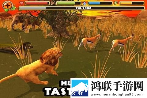 终极狮子模拟器