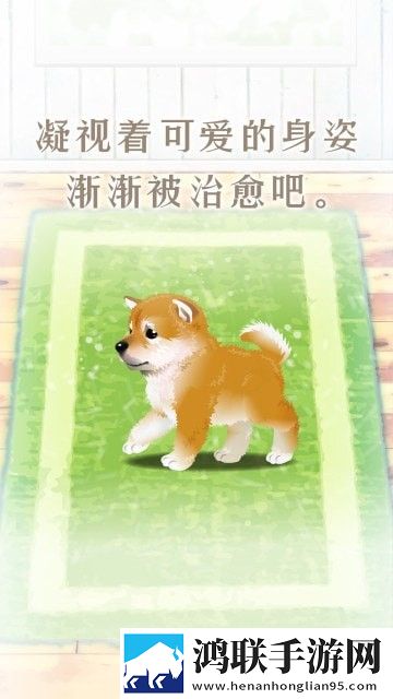 柴犬育成 柴犬育成