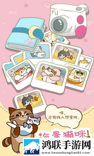 猫咪挂机