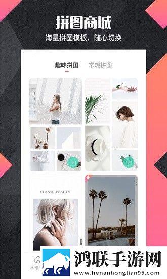 拼图去水印pro