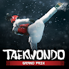 Taekwondo Grand Prix MOD APK 2.2.11 (Unlimited Money) for Android