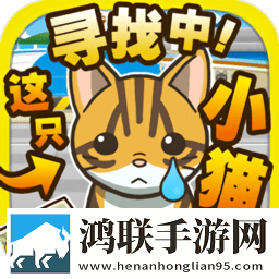 寻找小猫