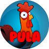 Manok Na Pula MOD APK 8.1 (Unlimited Money) for Android