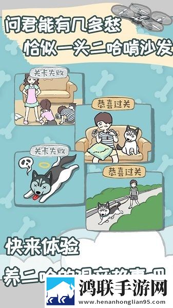 养只二哈不容易
