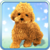 说话的泰迪狗(Talking Teddy Dog)