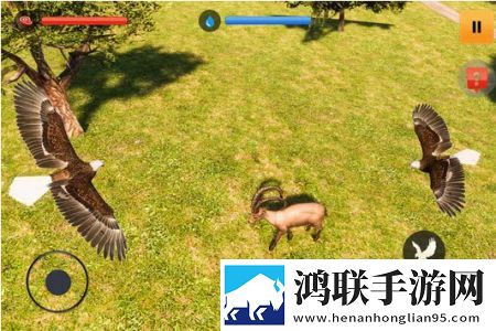 老鹰模拟游戏3DEagle Simulator Game 3D