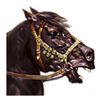 M&amp;B: Warband
