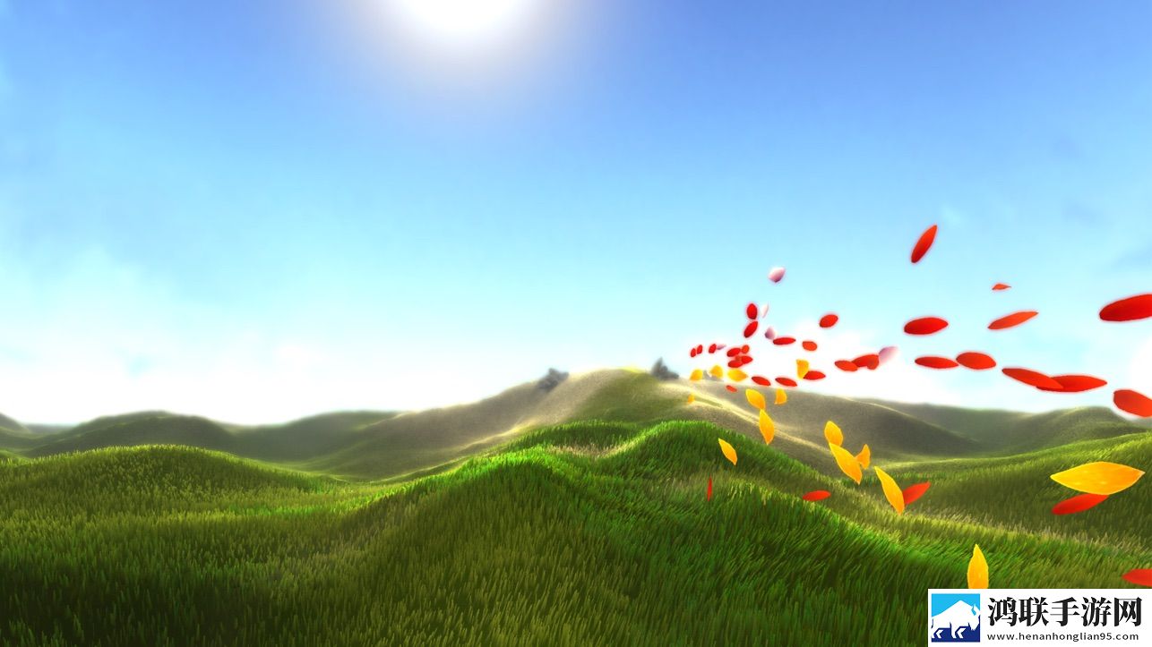 花游戏(Flower)