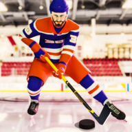冰球比赛3DIce Hockey 3D
