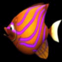 大鱼吃小鱼M木糖M（Big Fish Eat Small Fish）