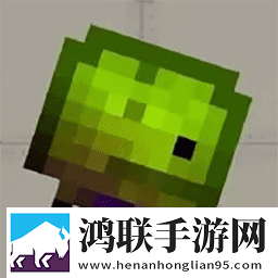 自由甜瓜游乐园