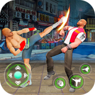 Street Fighter Hero(街头霸王英雄)
