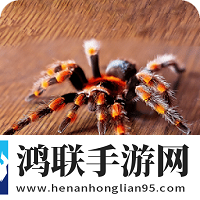 终极蜘蛛模拟器中文破解版