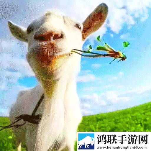 不要挑衅怪兽