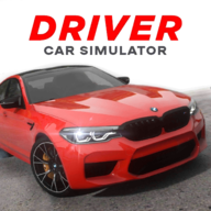 驾驶员BMW汽车模拟器
