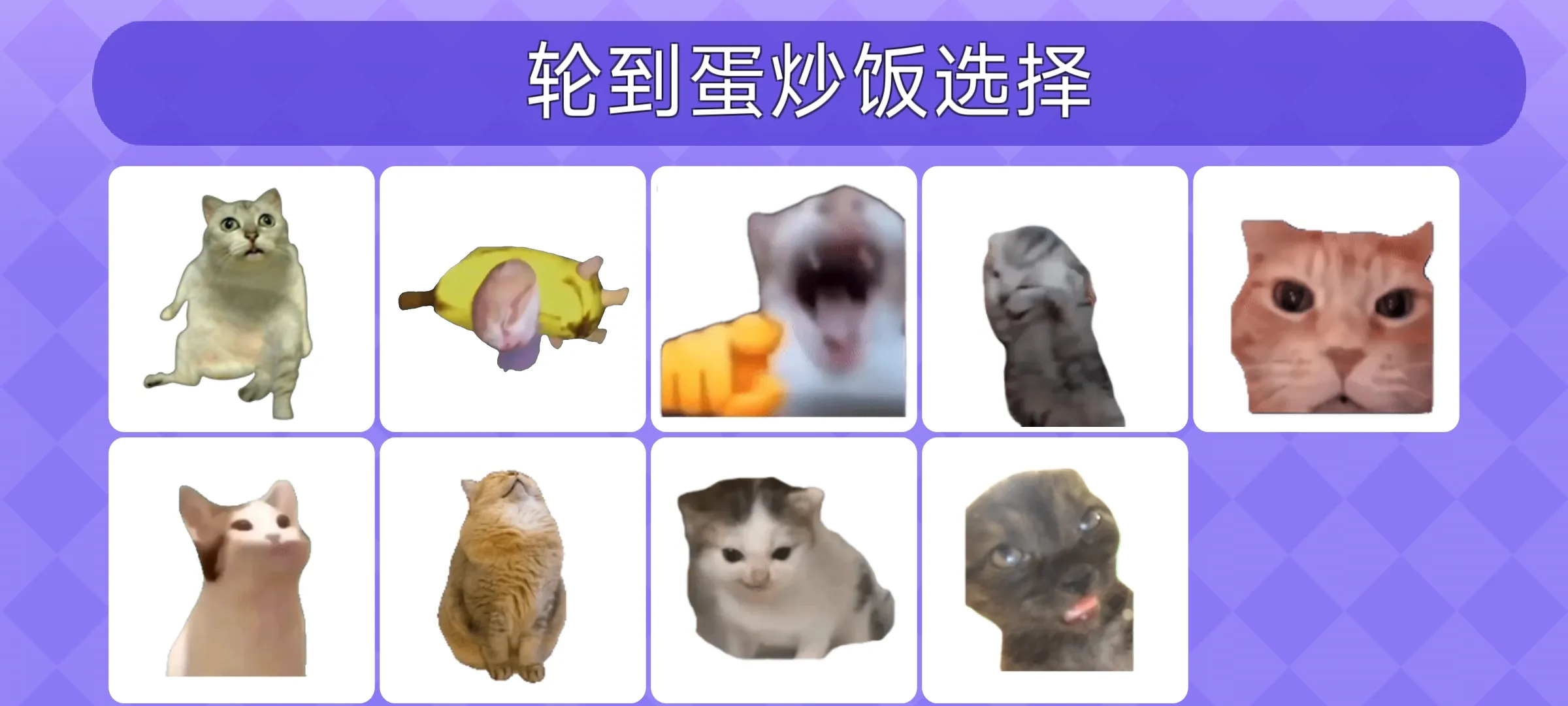 女巫的毒药